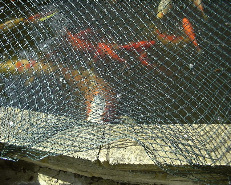 DSC00191