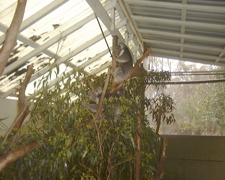 Dsc00242