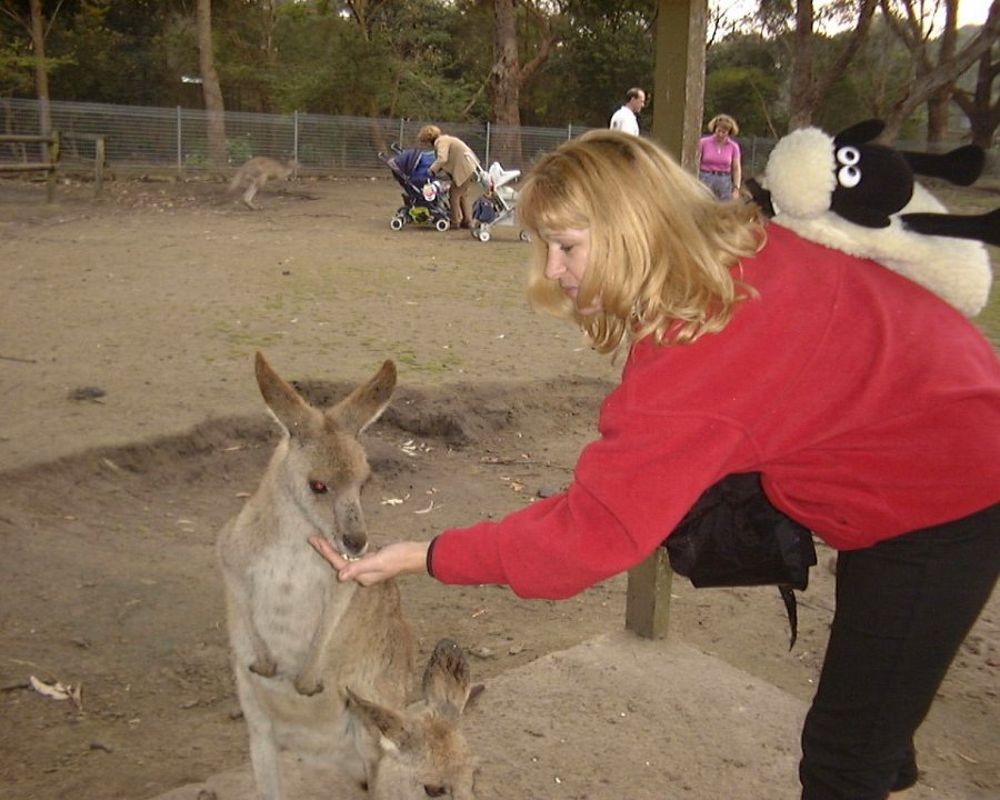 piglet and roo