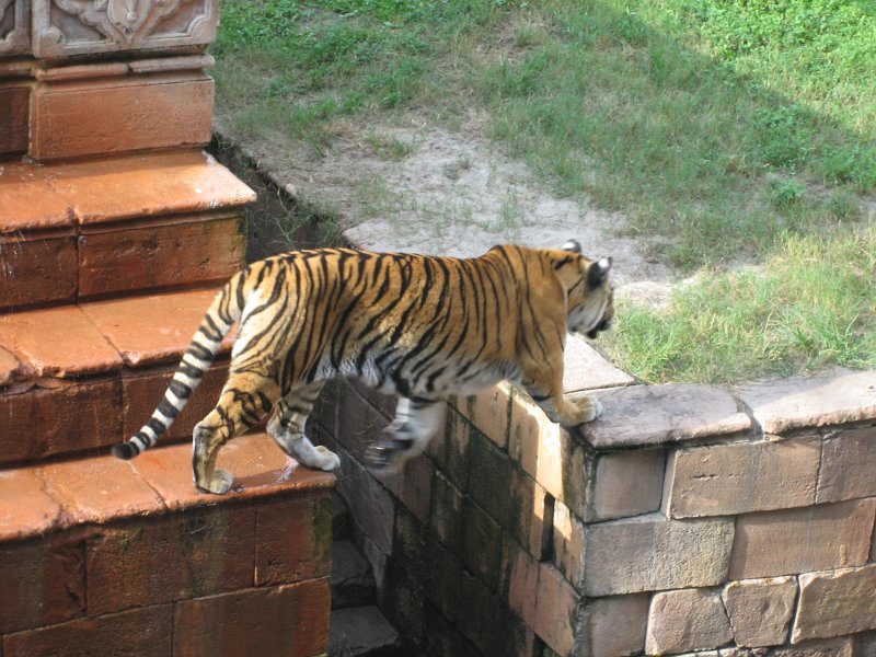 Florida2009 165