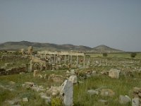 DSC00997