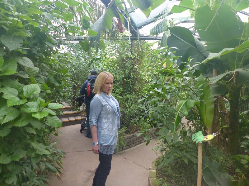 P1000161