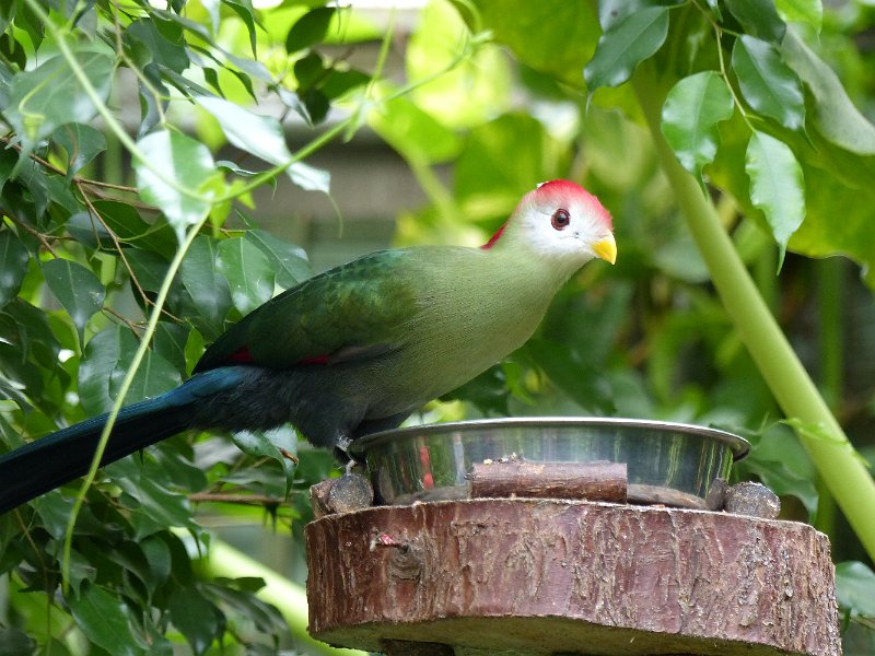 P1000167