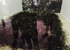 IMG 5554