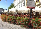 IMG 5595